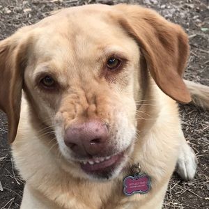 Meet your Posher, Justin